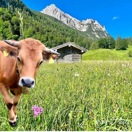 36 - Fewo Bergfuchs * Mittenwald